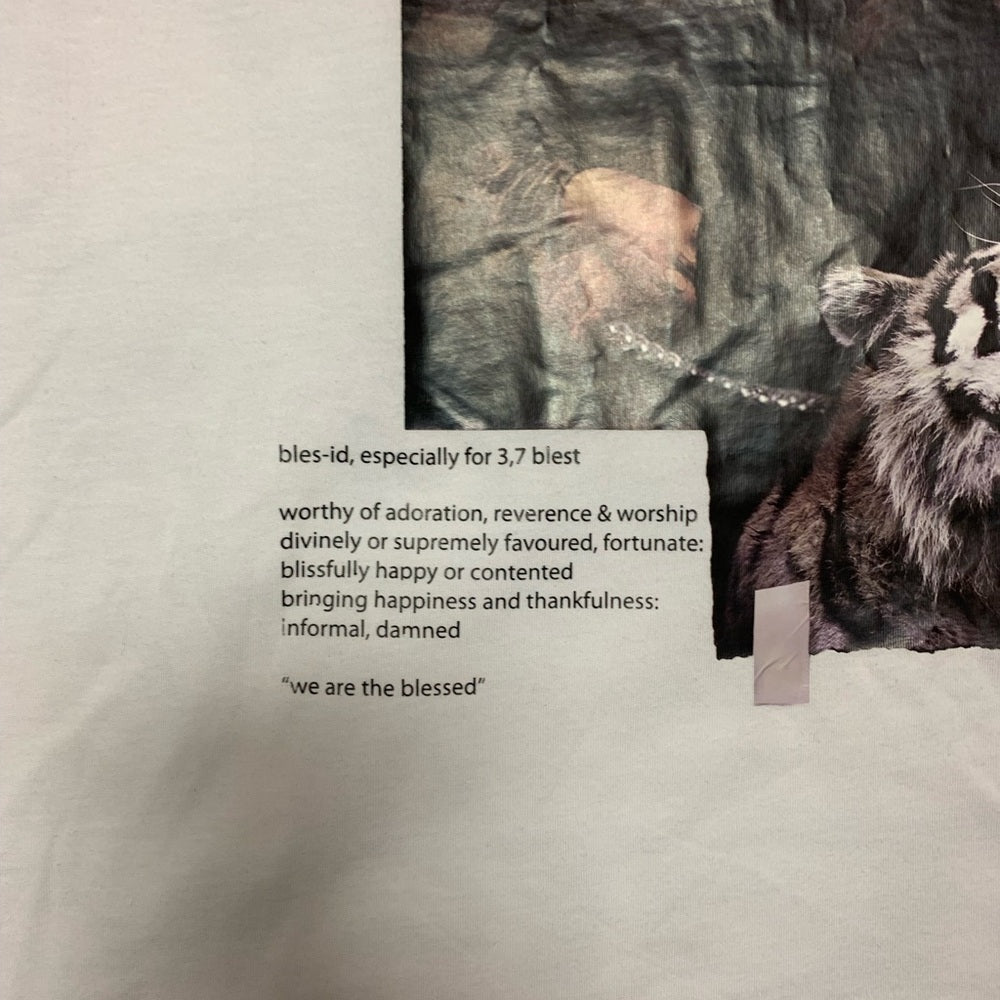 Sz medium blessed graphic tee white