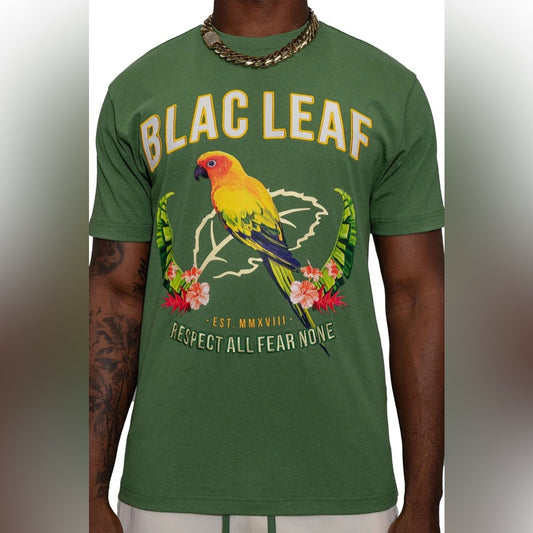 Green Parrot Graphic T-Shirt Blac leaf