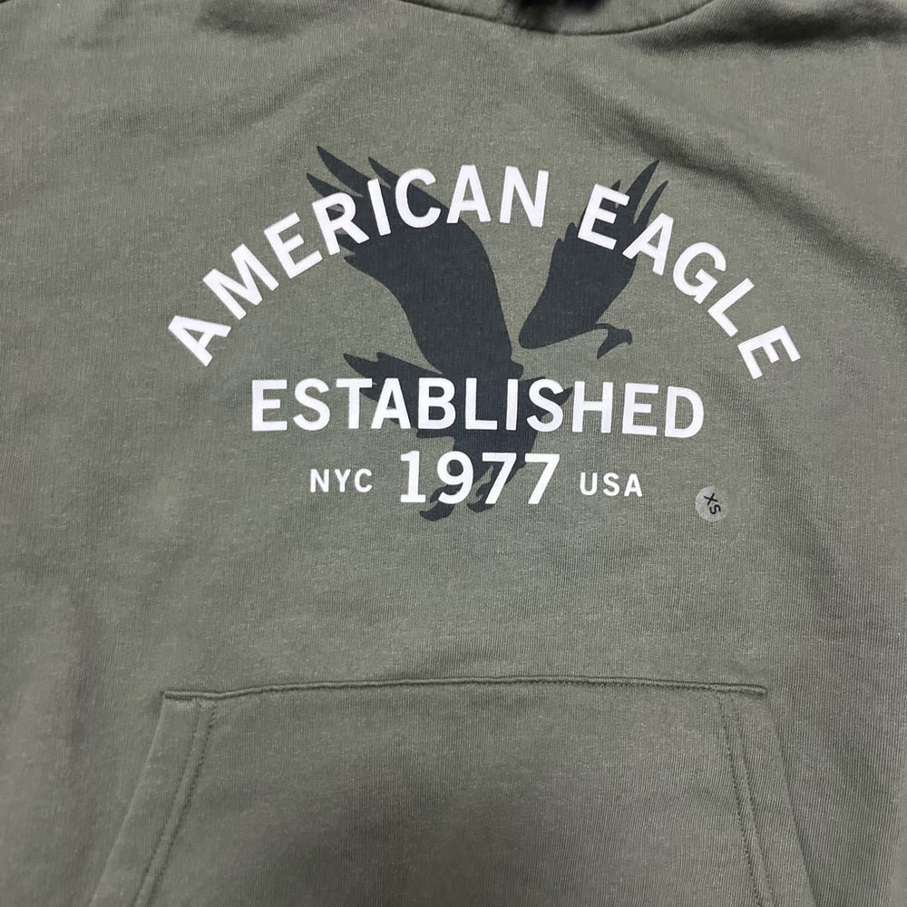 American Eagle Outfitters Men's Green Hoodie
