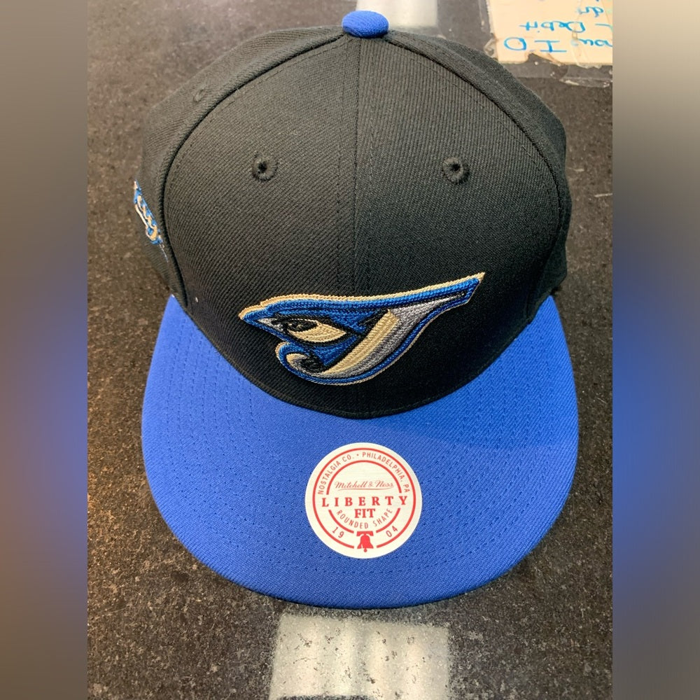 Toronto blue jays SnapBack one size fits all