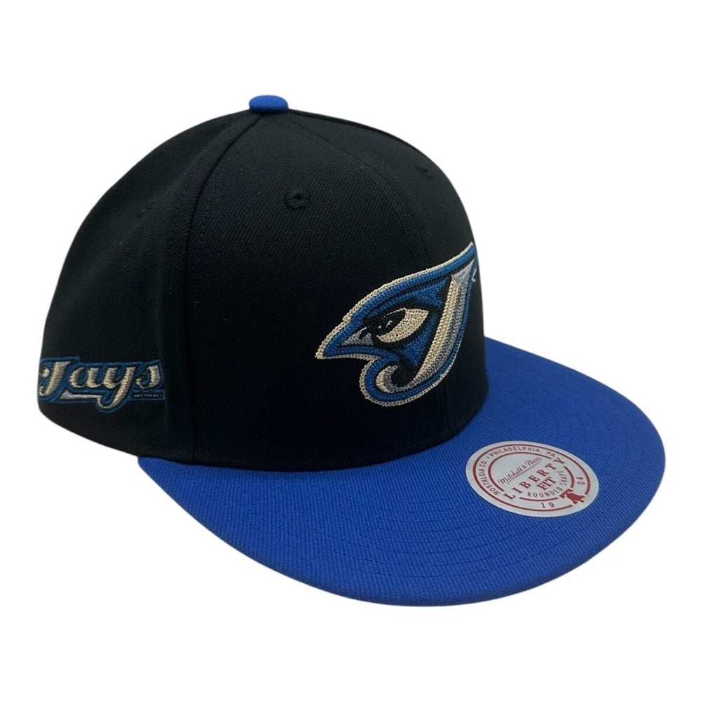 Toronto blue jays SnapBack one size fits all