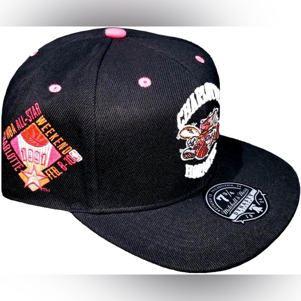 Sz Various Charlotte hornets fitted cap