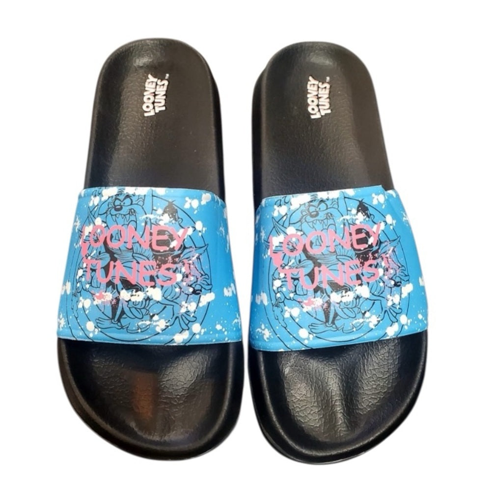 Sz Various looney tunes slides