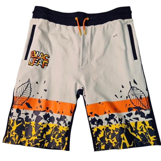 Sz 2xl Blac leaf shorts multi colors