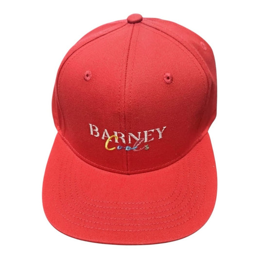 Barney SnapBack one size fits all