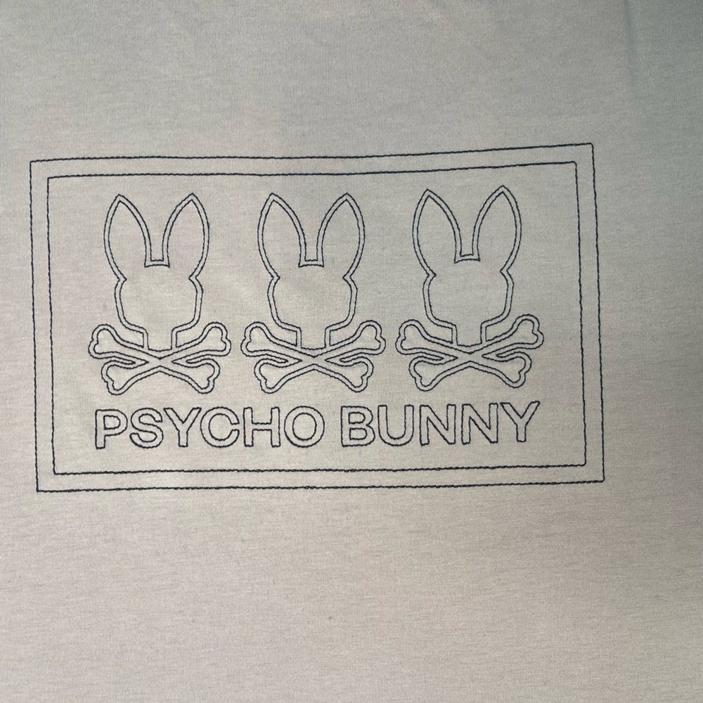 Sz 4Xl PSYCHO BUNNY MEN'S STONE TACOMA GRAPHIC T-SHIRT